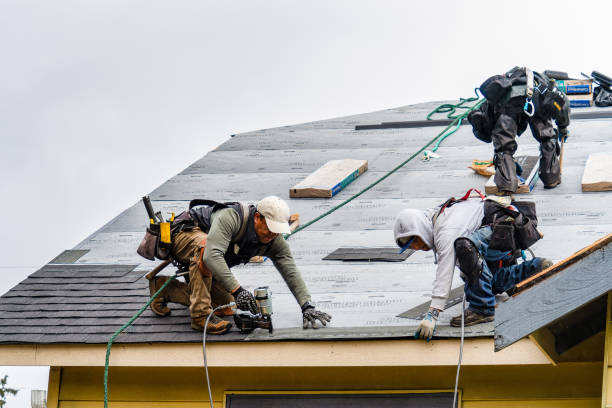 Professional Gutter Installation technician working in Willow Grove, TX