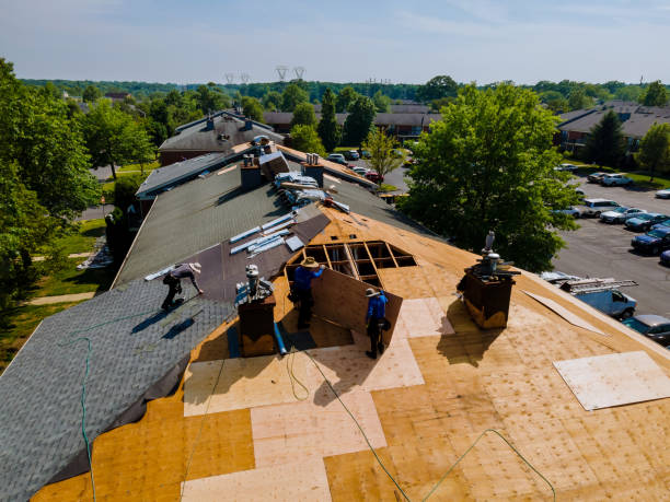 Trusted Emergency Roof Repair service in Willow Grove, TX - Brentwood Metal Roofing